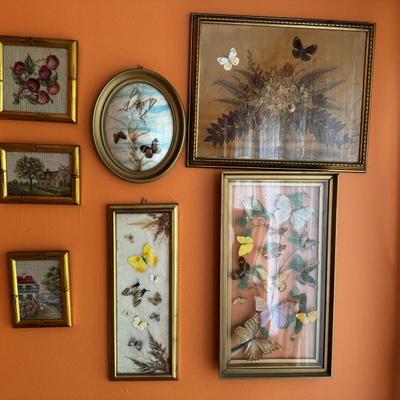 Taxidermy butterflies 