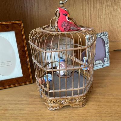 bird cage 