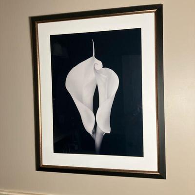 Lily Photo Print | Art.Com Black & White Lily Photo Print. Nicely Framed in black with gold. - l. 25” x h. 31” in

