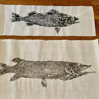 Two Fish Prints on Rice Paper by Cy DeCosse

The largest measures 25