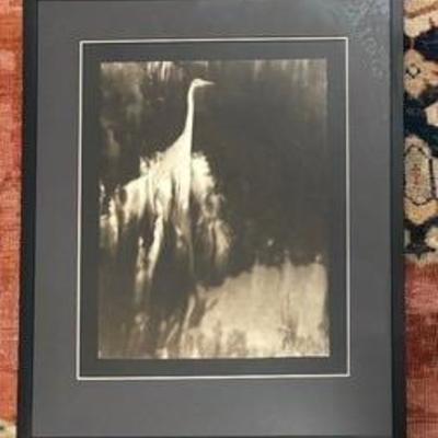 Black and White Framed Photographic Print by Josephine Sacabo 

Entitled, “A Geometry of Echos. The Egret” 