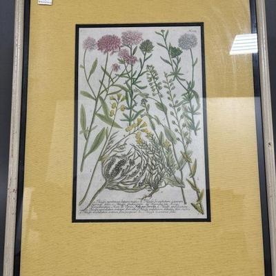 Lot 13 | Signed and Numbered Johann Weinmann Print
