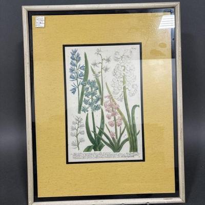 Lot 11 | Signed and Numbered Johann Weinmann Print
