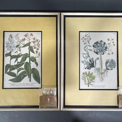 Lot 63 | 18th Century Engravings With Certificate
