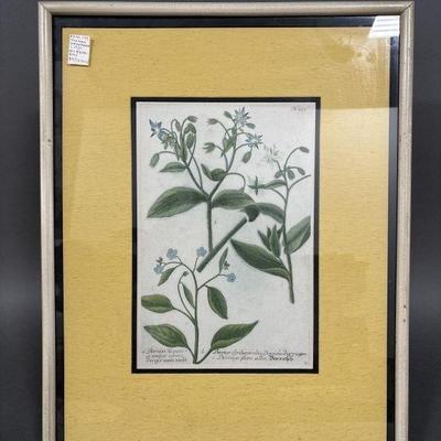 Lot 12 | Signed and Numbered Johann Weinmann Print
