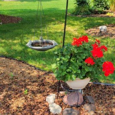 Hooks and Bird Bath