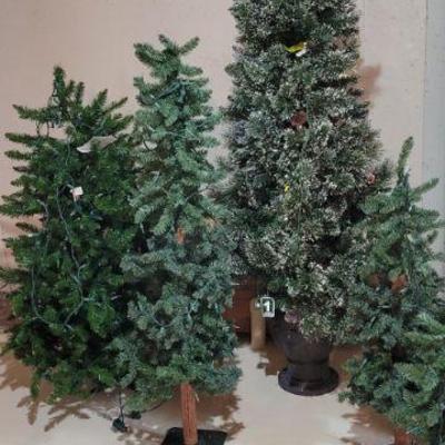 Oh Christmas tree