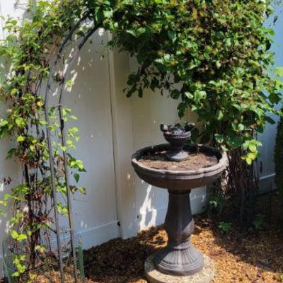 Fountain Bird Bath