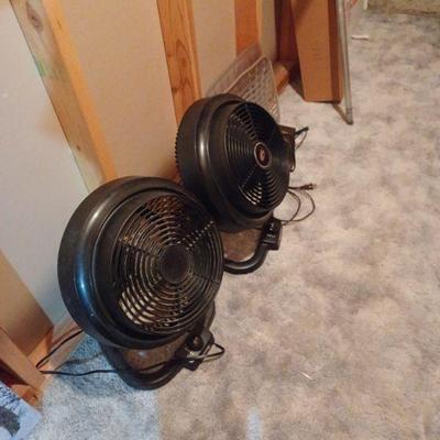 Fans