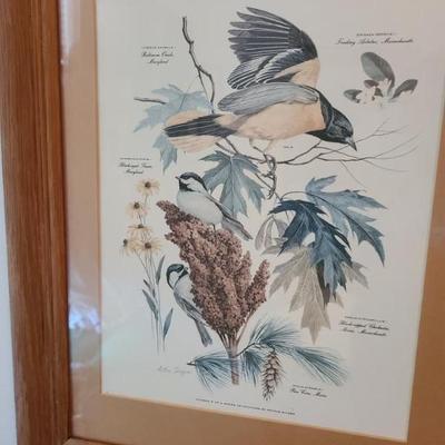 Arthur Singer bird print - Black Capped Chickadee & Baltimore Oriole