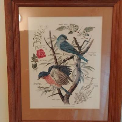 Arthur Singer “Bluebirds & Plants”