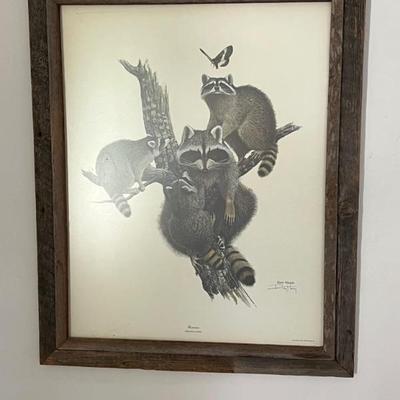 Ray Harm signed “Raccoon”  (family)