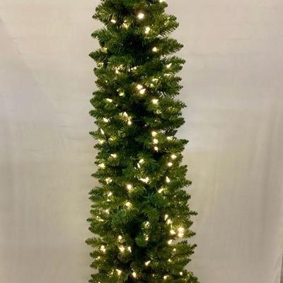LIDE901 Lighted 6ft Skinny Tree	Very pretty skinny tree, has remote with 8 light settings. Fades in/out & changes colors.
