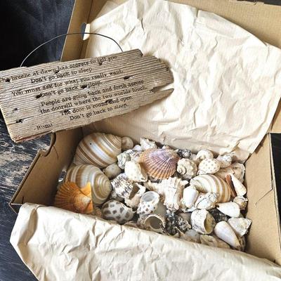 Shoebox Full of Pretty Seashells Plus Driftwood Wall Sign