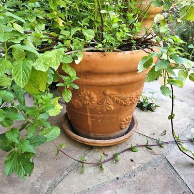 Italian Terracotta Artistic Planter Pot with 13" Opening and 14" High - Maker's Stamped, Made in Italy