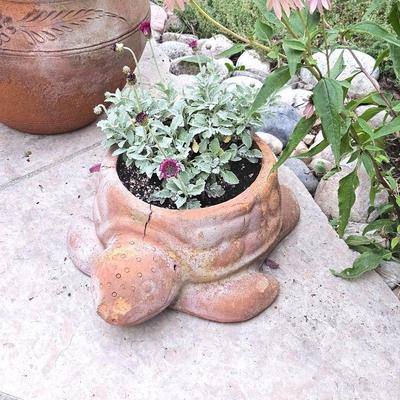 Turtle Planter - Mexican Terra Cotta Decorative Planter for Gardening