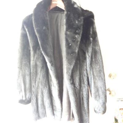 size lg. galma Black fur.