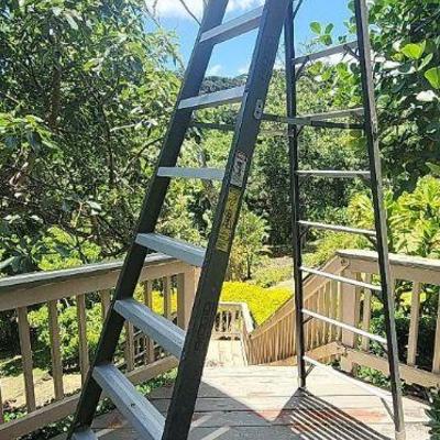 MMM073 - Ridgid Heavy Duty 10' Ladder