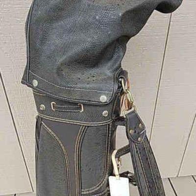 MMM218 - Gray Golf Bag With Clubs