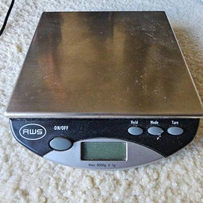MMM065-AMERICAN WEIGH SCALES Digital Bench Scale