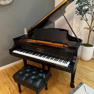 Steinway Piano