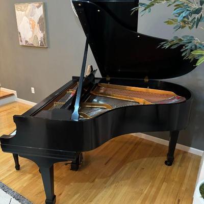 Steinway and Sons