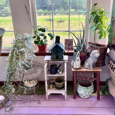 Plants, plant stands and decor