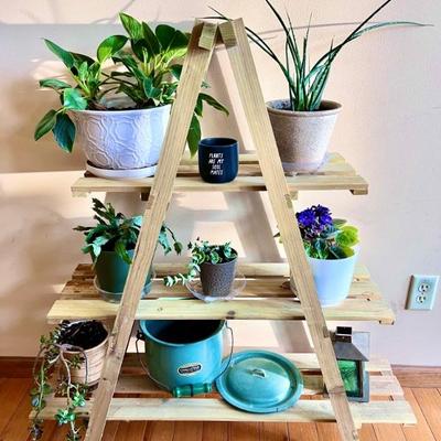 Plant Stand / Shelf and Plants