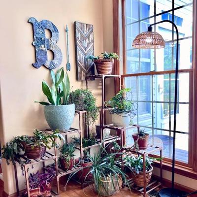 Plants and Plant Stand