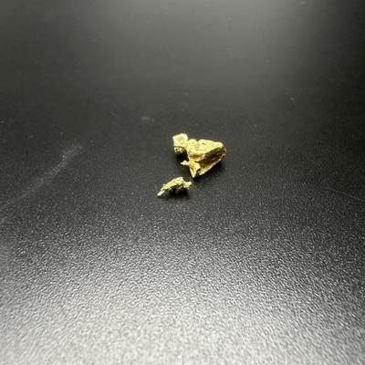 Gold nugget