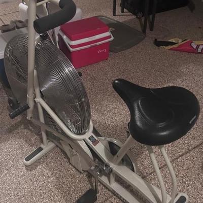 Vintage Schwinn Airdyne 