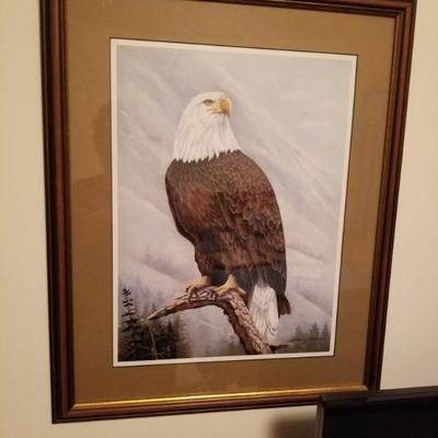 Eagle picture