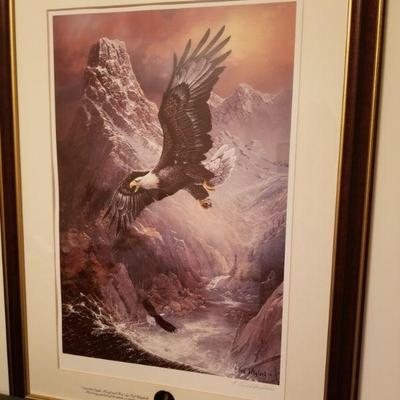 Ted Blaycock Alaska bald eagle preserve special issue