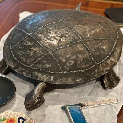 close up of turtle
