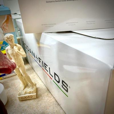 Rodan + Fields