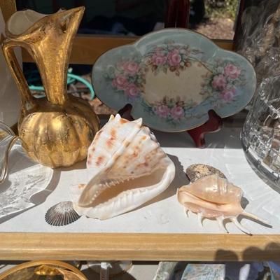 SHELLS