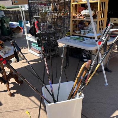 WALKING STICKS