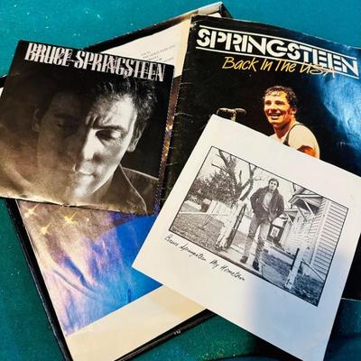 Springsteen Vinyl