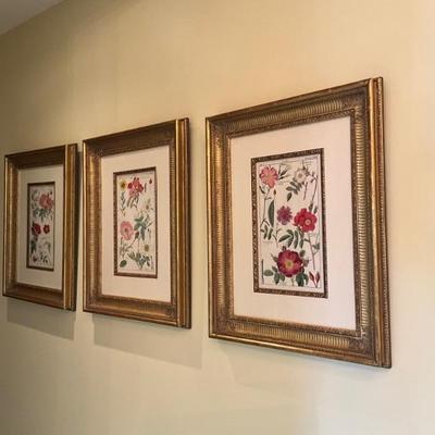 LOT 932 Set of 3 Original Handcolored Copperplate Engravings, "Flora Universalis" by David Dietrich