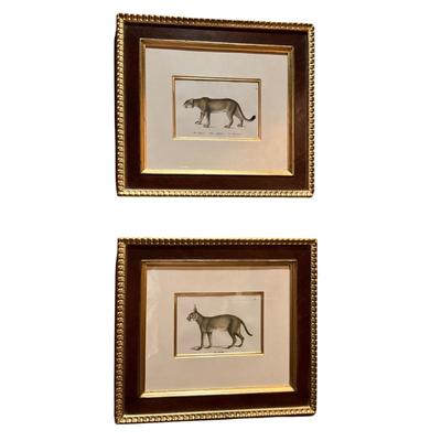 LOT 968 Pair of H.R. Schinz Handcolored Engravings. Click here to bid -...