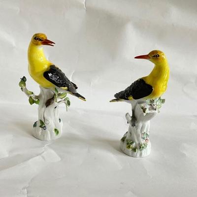 768 Pair of Meissen Porcelain European Orioles 
