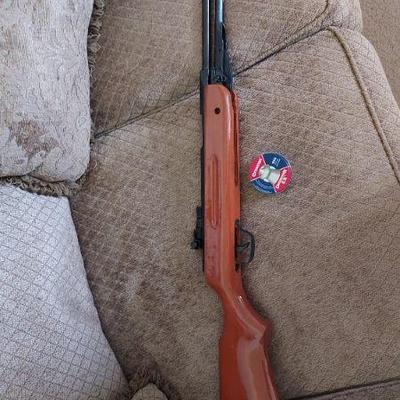 air pellot gun