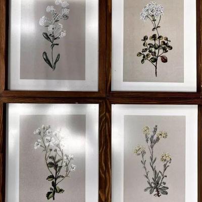 https://www.agesagoestatesales.com/product/br2003-vintage-home-interior-flower-prints-set-of-four-wood-frame/1055
