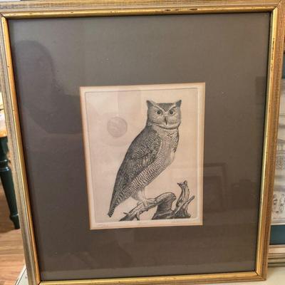 Pencil Sketch of an Owl