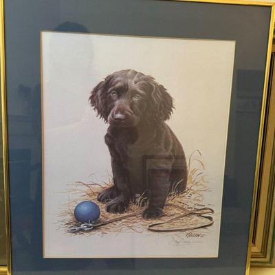 Chocolate Lab art

