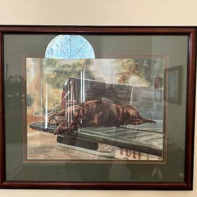 Chocolate Lab on back of truck print