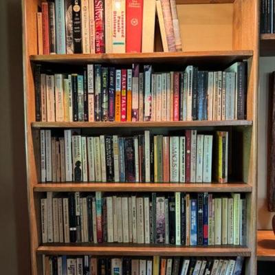 Large Book Variety #1: Extensive Collection of Fiction Novels+	