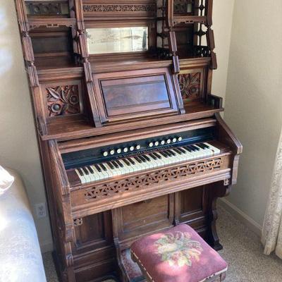 organ