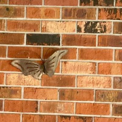 Butterflys