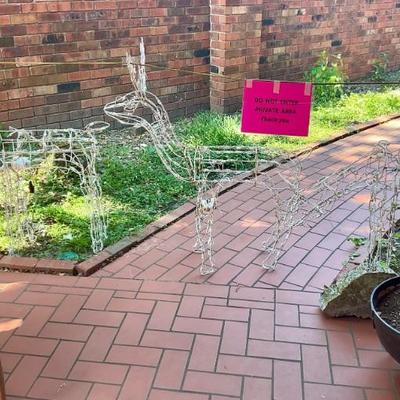 Reindeer yard decorations 